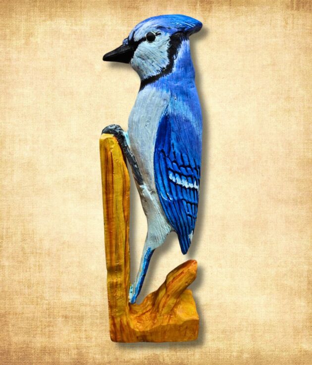 Woodland Jay
